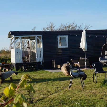 Waarland Bed And Breakfast Het Schapenlandje מראה חיצוני תמונה