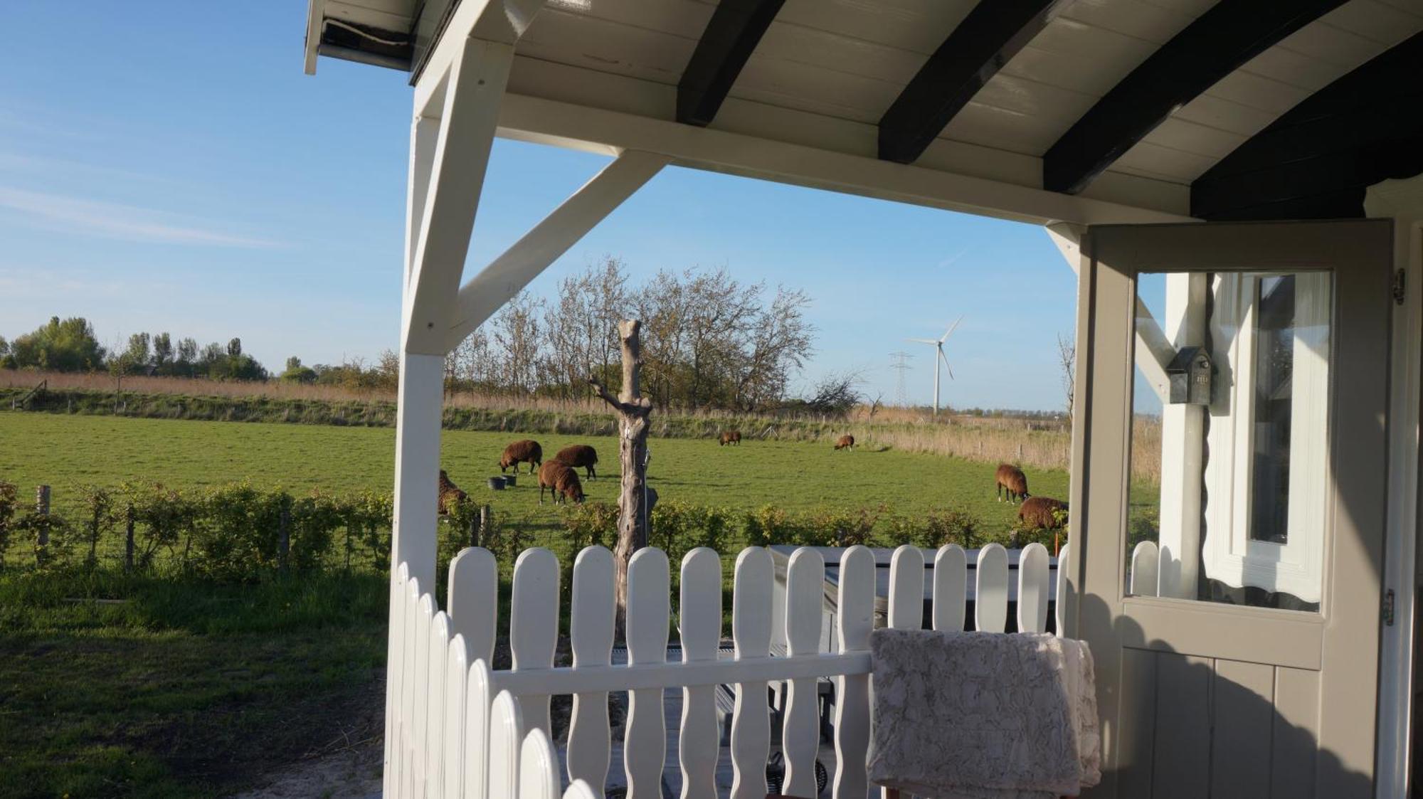 Waarland Bed And Breakfast Het Schapenlandje מראה חיצוני תמונה