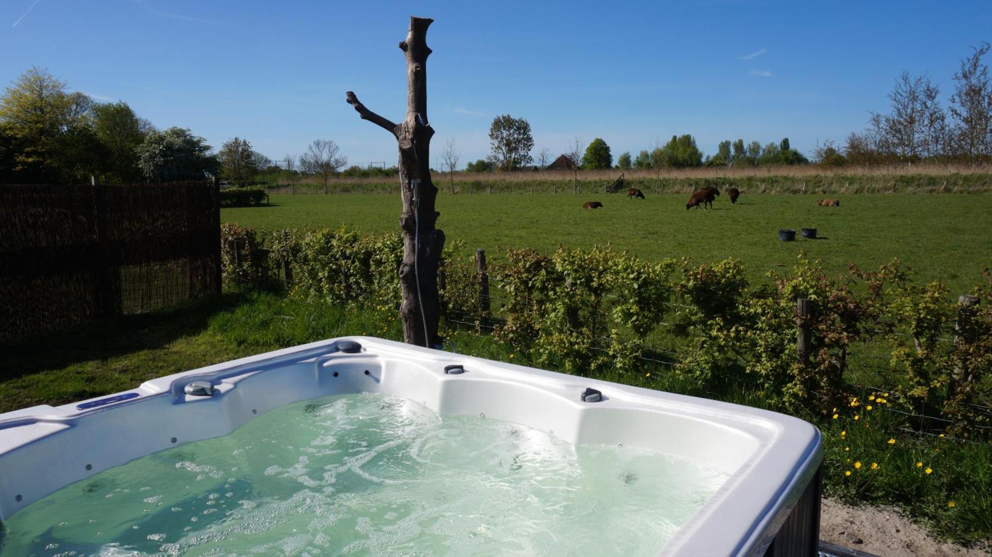 Waarland Bed And Breakfast Het Schapenlandje מראה חיצוני תמונה
